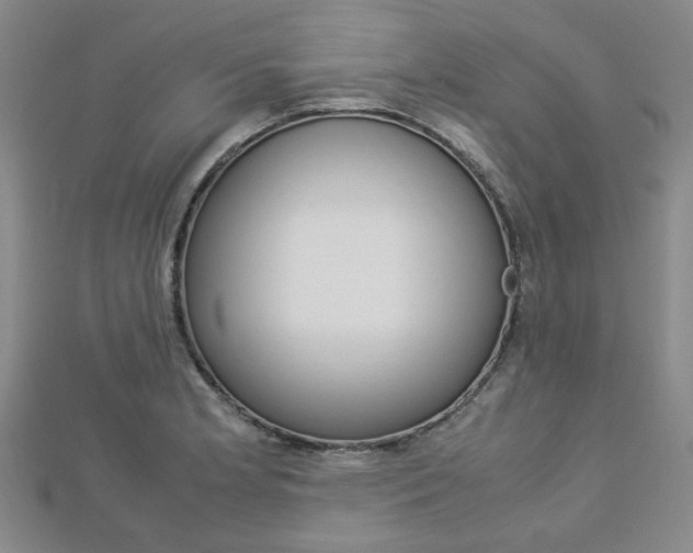 X0000112871181200908211023