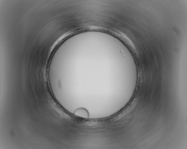 X0000112871182200908211023