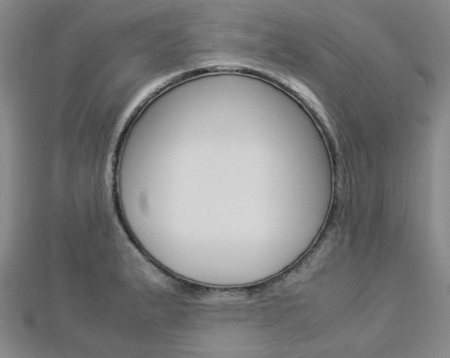 X0000112871183200908211023