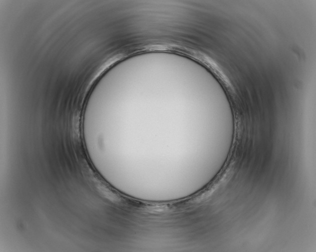 X0000112871186200908211023