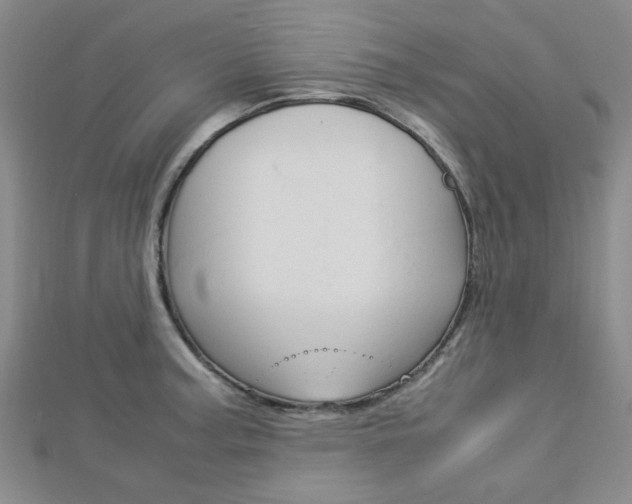 X0000112871187200908211023