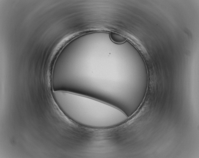 X0000112871188200908211023