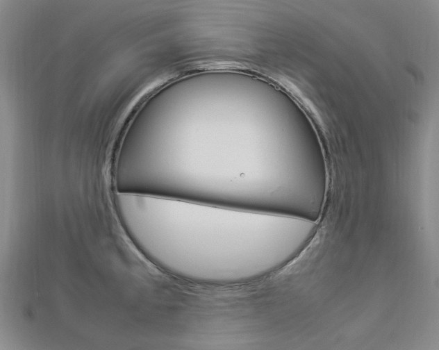 X0000112871189200908211023