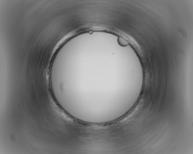 X0000112871190200908211023