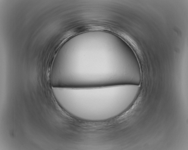 X0000112871193200908211023