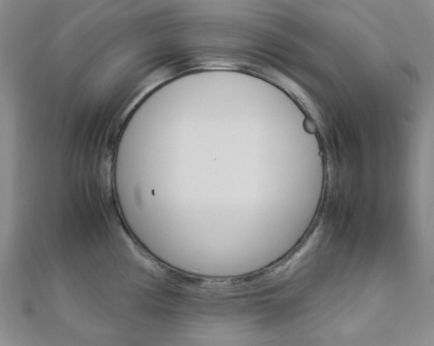 X0000112871194200908211023