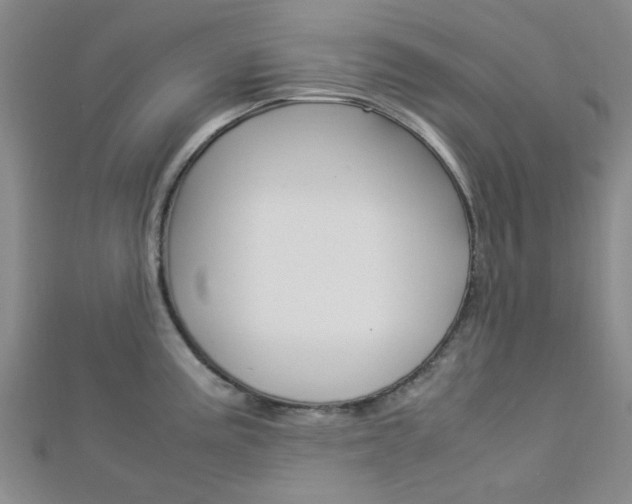 X0000112871195200908211023