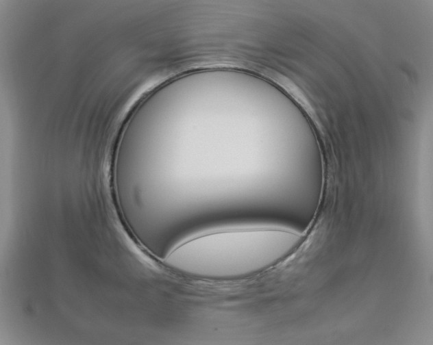 X0000112871197200908211023