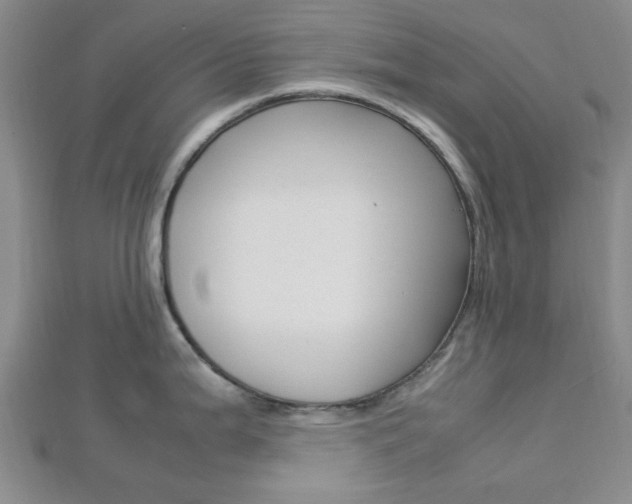 X0000112871199200908211023