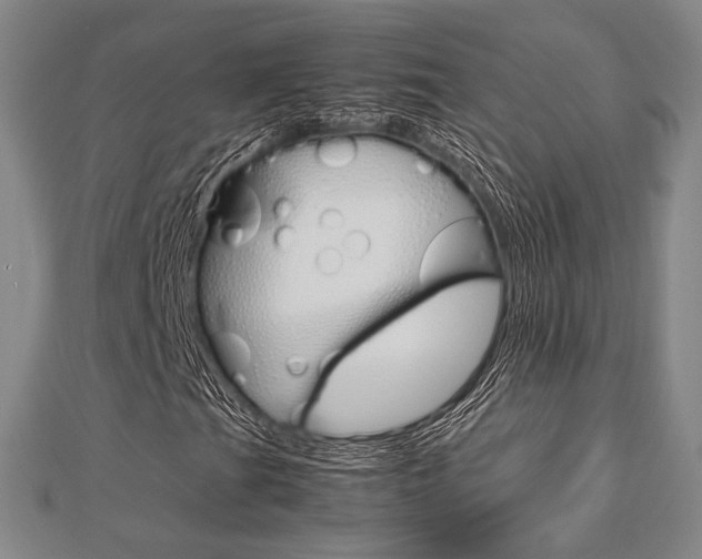 X0000112871201200908211022