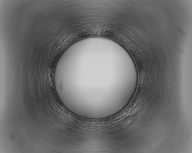 X0000112871202200908211022