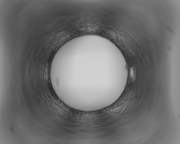 X0000112871203200908211022