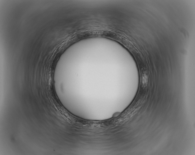 X0000112871204200908211022