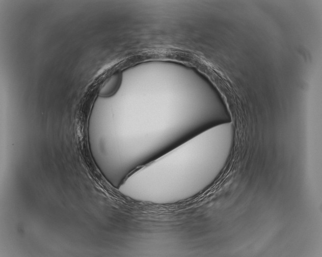 X0000112871206200908211022