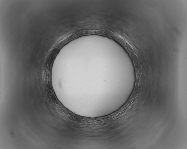 X0000112871207200908211022