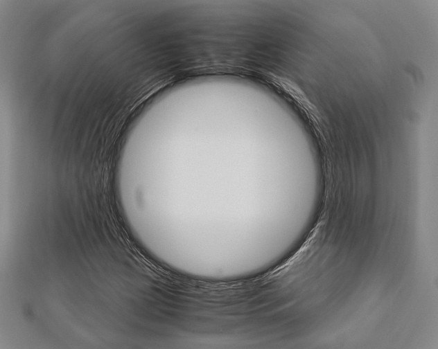 X0000112871209200908211022