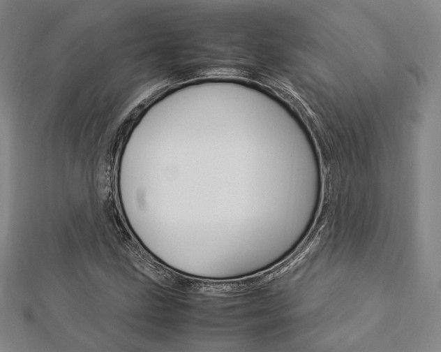 X0000112871211200908211022