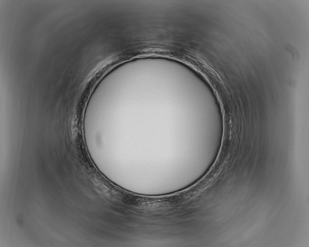 X0000112871213200908211022