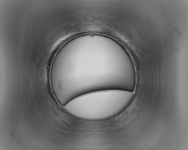 X0000112871214200908211022