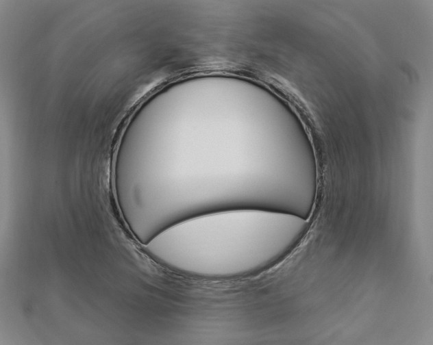 X0000112871220200908211022
