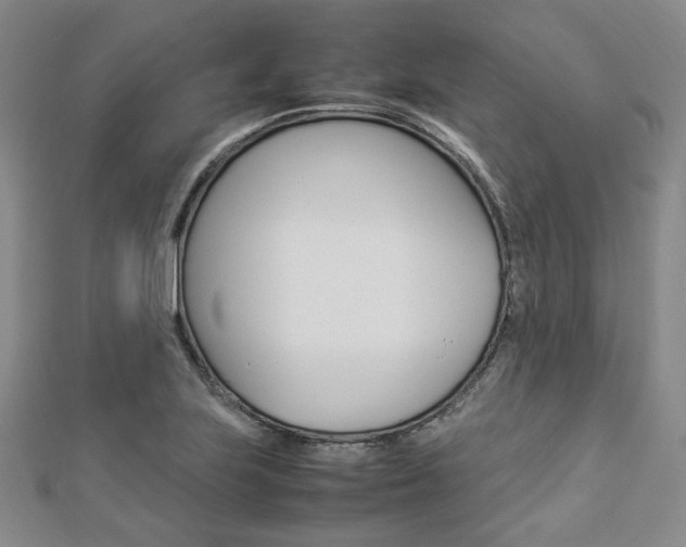 X0000112871223200908211023