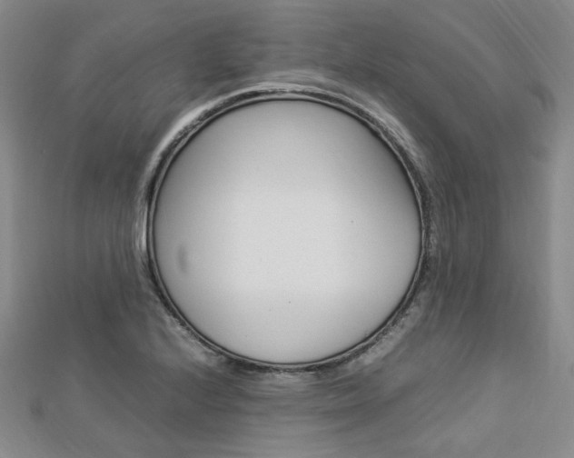 X0000112871224200908211023