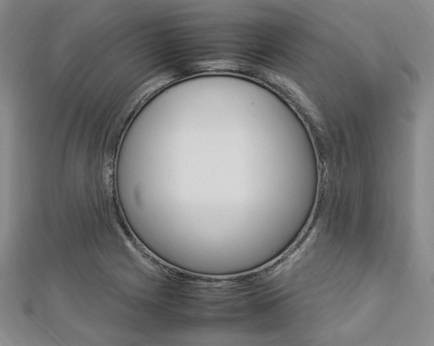 X0000112871225200908211023