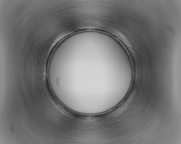 X0000112871226200908211023