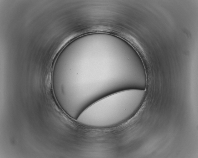 X0000112871228200908211023