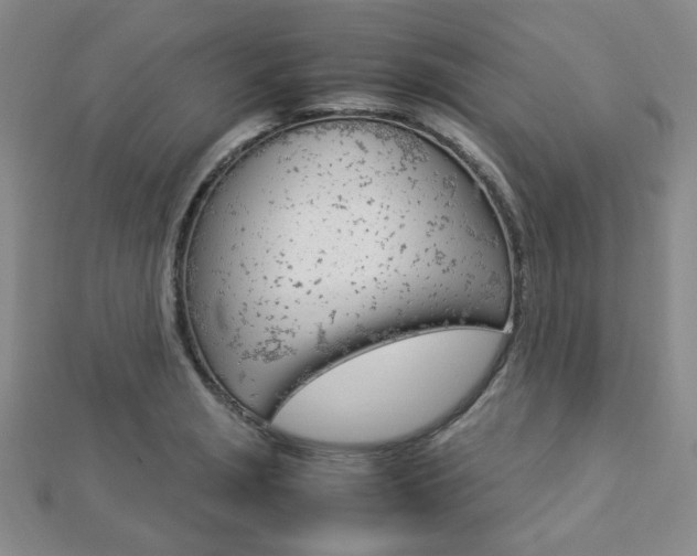 X0000112871229200908211023