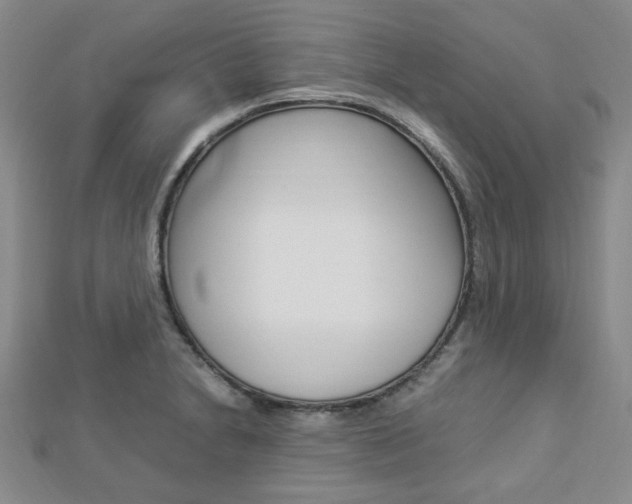 X0000112871230200908211023