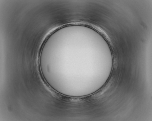 X0000112871231200908211023