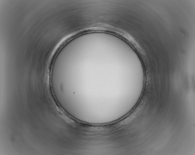 X0000112871232200908211023