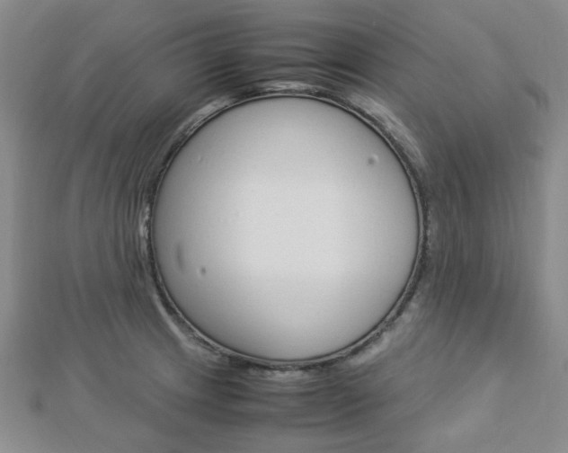 X0000112871233200908211023