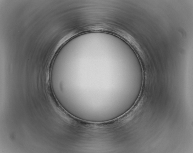 X0000112871234200908211023