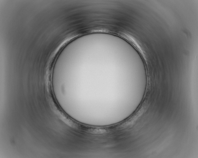 X0000112871235200908211023