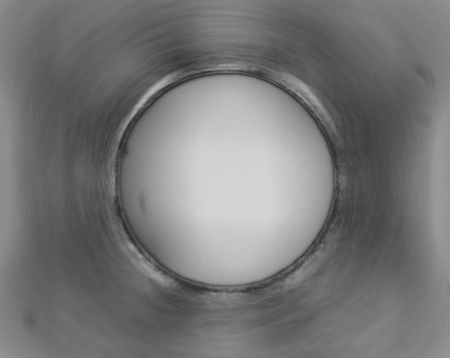 X0000112871236200908211023