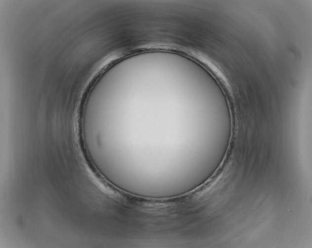 X0000112871237200908211023