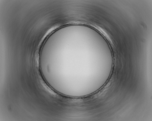 X0000112871238200908211023