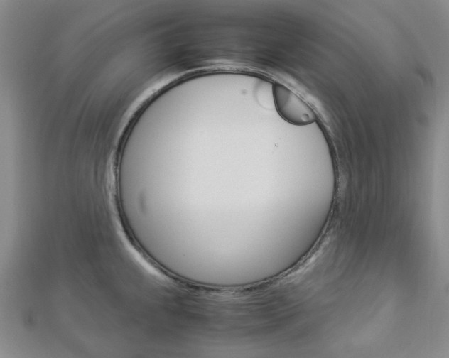 X0000112871239200908211023