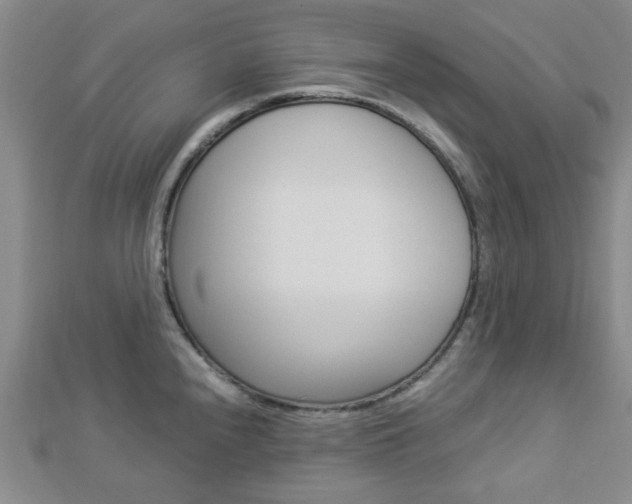X0000112871240200908211023