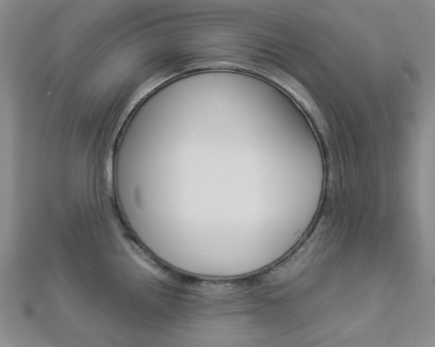 X0000112871242200908211023