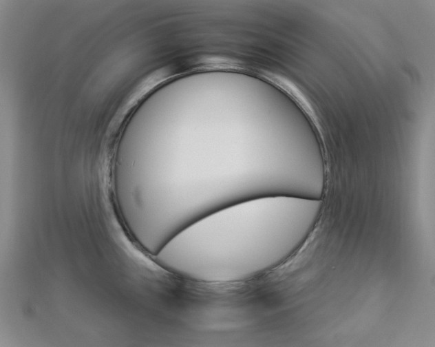 X0000112871243200908211023