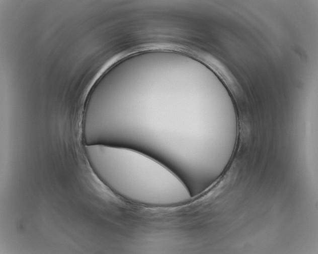 X0000112871244200908211023