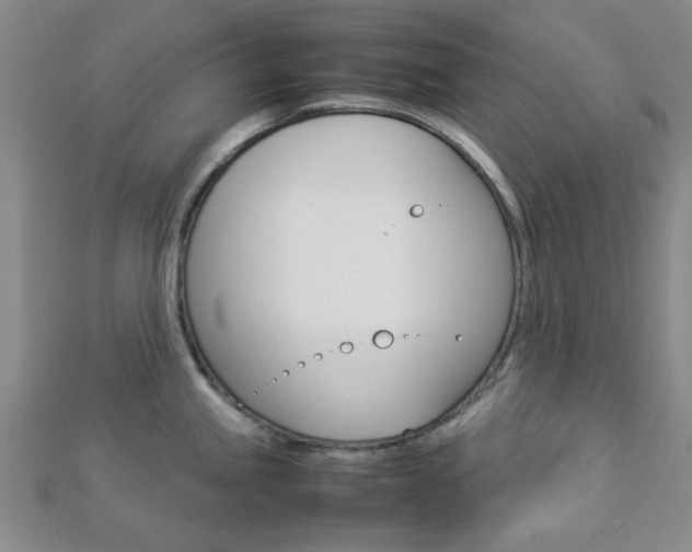 X0000112871245200908211023
