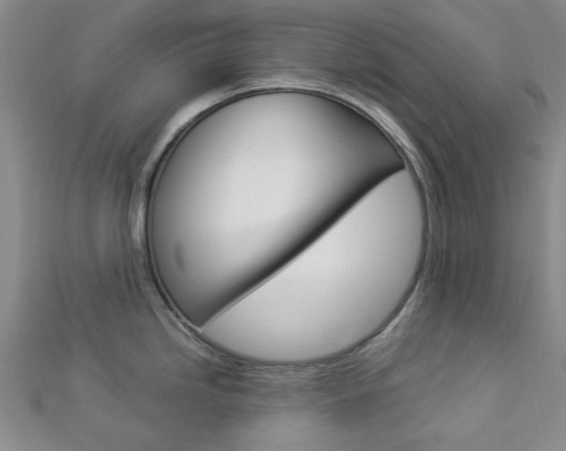 X0000112871246200908211023