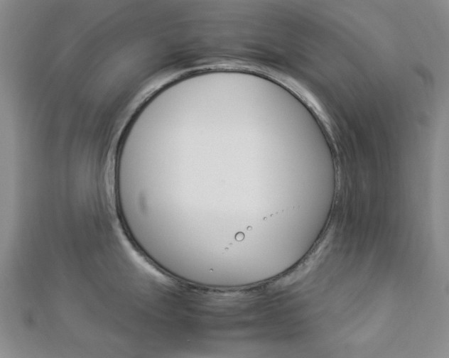 X0000112871247200908211023