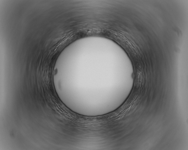 X0000112871250200908211022