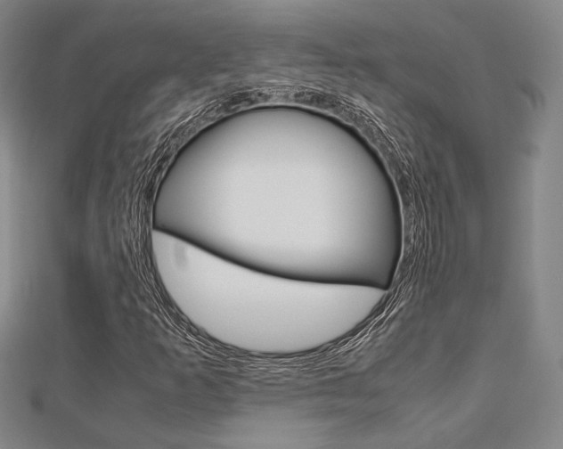 X0000112871253200908211022