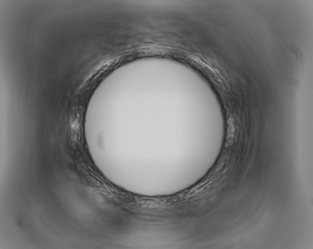 X0000112871254200908211022